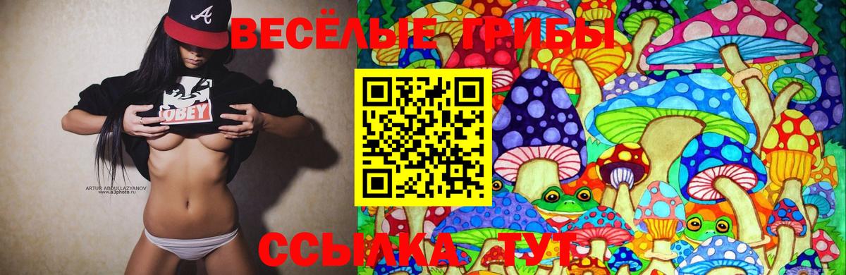 Галлюциногенные грибы Magic Shrooms Арзамас