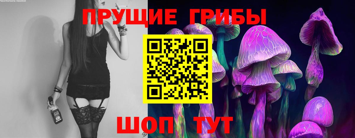 Арзамас  Галлюциногенные грибы GOLDEN TEACHER  Вход с VPN 